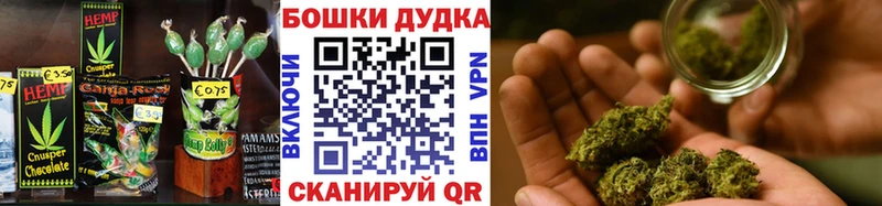 цена   Лыткарино  Canna-Cookies конопля 