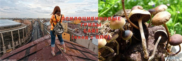 первитин Армянск